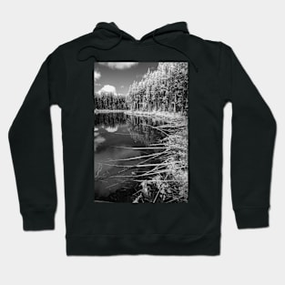 Lake Herbert #3 Hoodie